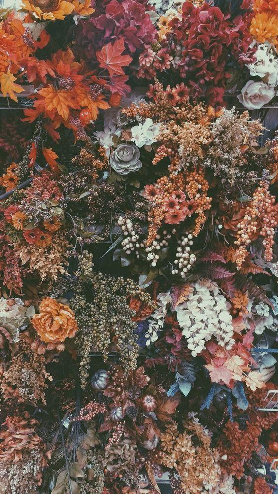 Whispers of the Meadow Breeze
